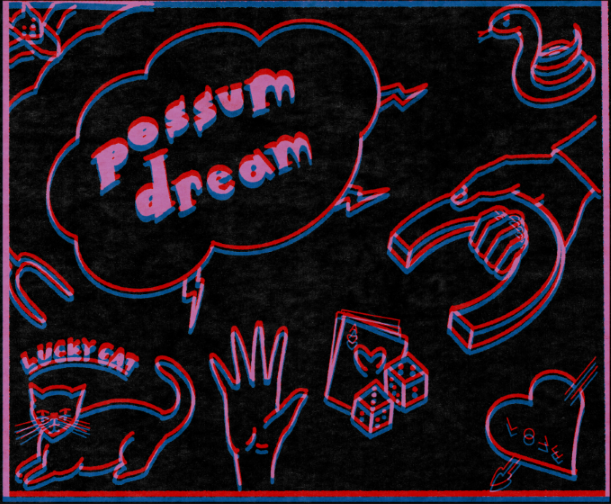 possum dream